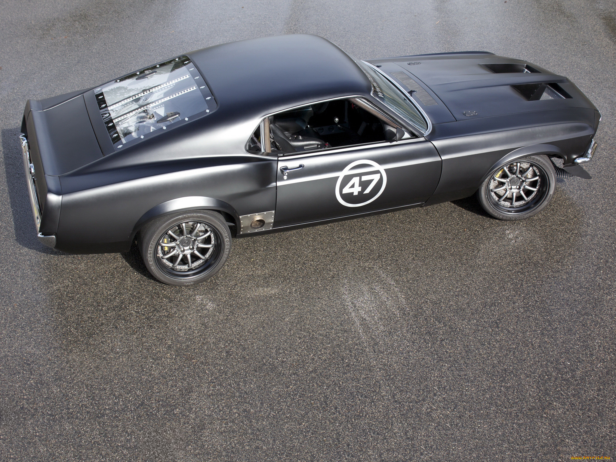 , mustang